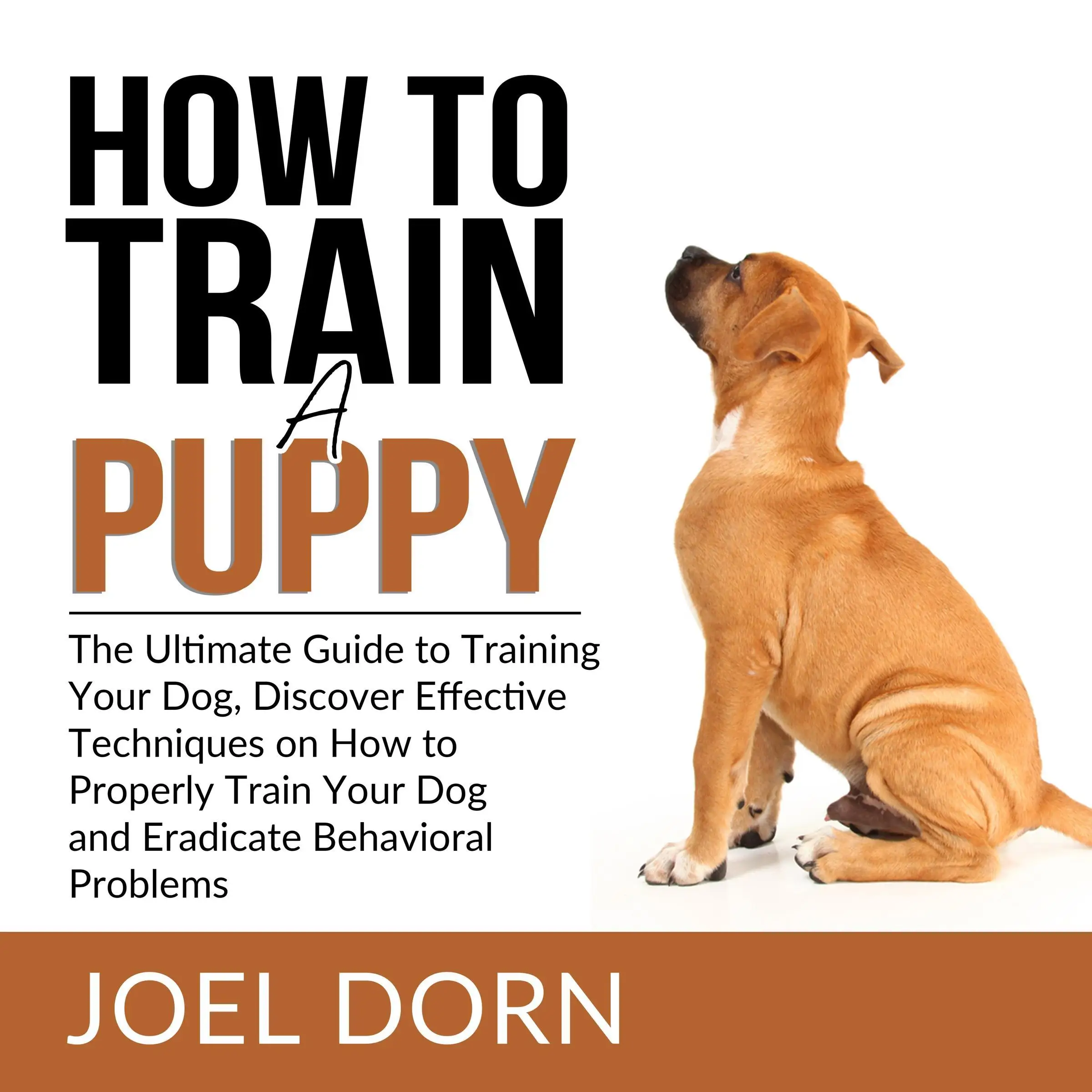 How to 2024 train your puppy
